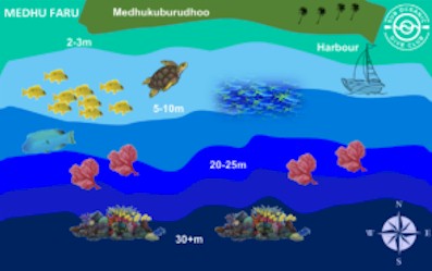 Medhu Faru